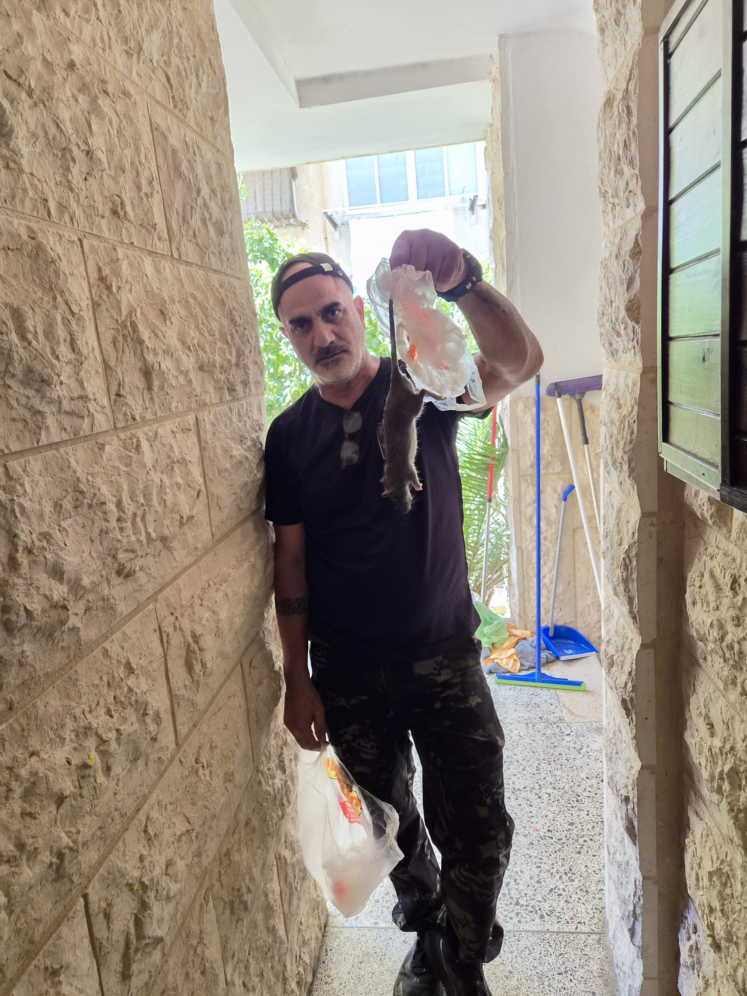 המדביר לאחר לכידת חולדה